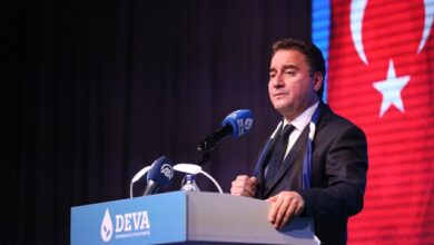 Babacan, saray yönetimini suçladı