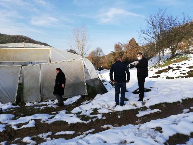 Hasar gören seralara yerinde inceleme