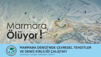 Marmara Denizi’ni sivil inisiyatif kurtaracak