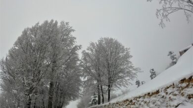 Başiskele’den kar manzaraları 