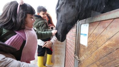 Kocaelili çocukların atlarla dostluğu