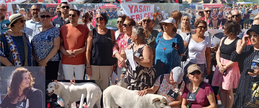 Hayvan severler haykırdı
