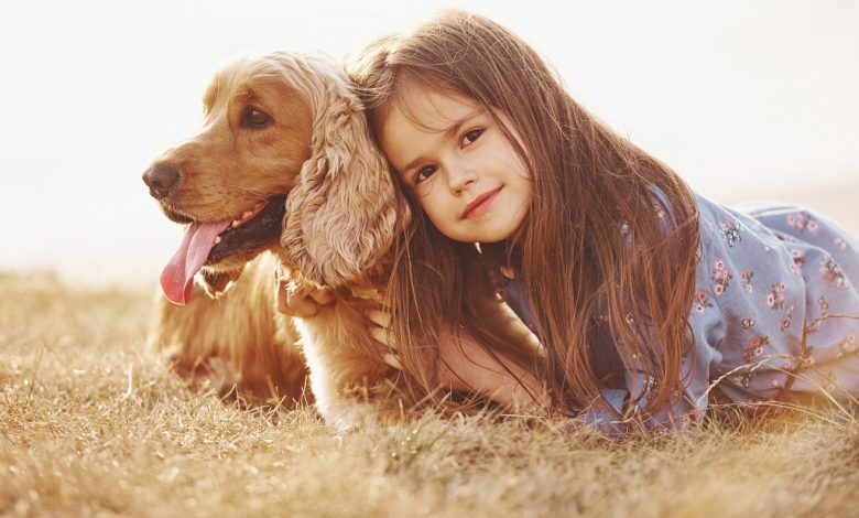 Yaşlanan köpeğiniz için bakım rehberi