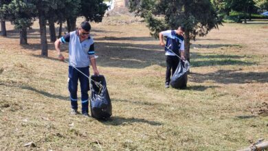 Park ve bahçelerde sonbahar temizliği