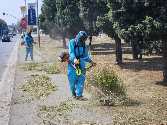 Park ve bahçelerde sonbahar temizliği