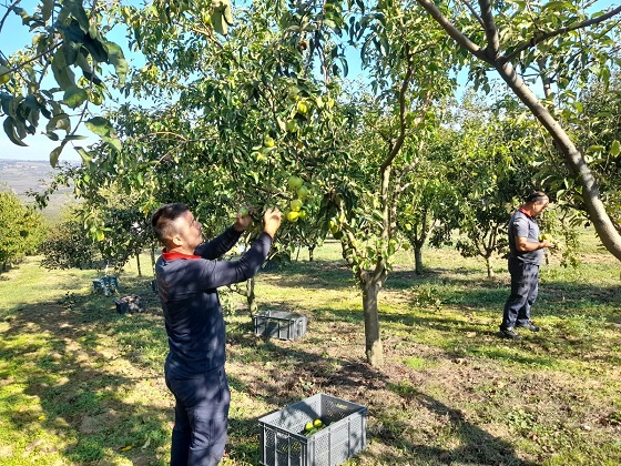 Ürünler halka ulaştırıldı