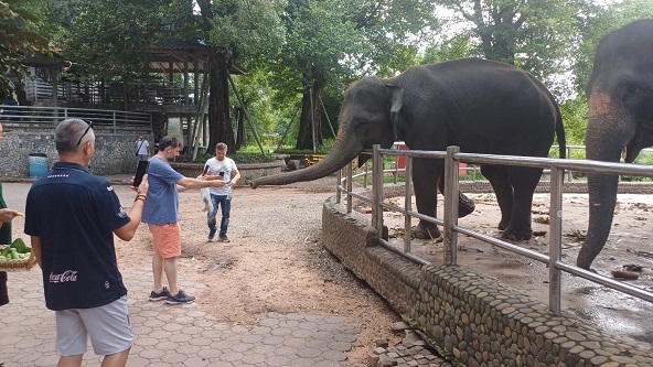 Üstün Yapı’dan Pattaya Gezisi